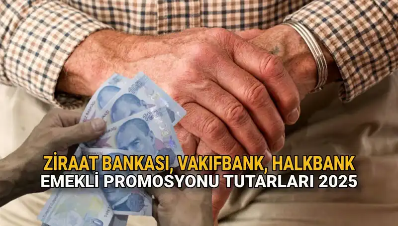 Emekli Maaşı Promosyonları 2025'te Kamu Bankalarında Yükseliyor