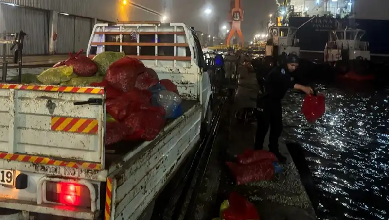 Kaçak Midyeler Ortaya Çıktı: Denetimler Arttı ve El Konuldu
