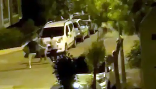 Avcılar'da Üç Kişinin Saldırısına Uğrayan Adam Kurtarıldı