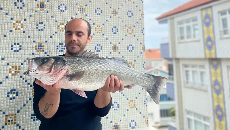7,5 Kiloluk Dev Levrek Avladı: Balıkçıların Gözdesi Oldu
