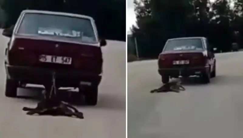 Otomobille Köpeğini Sürükleyen Sürücü, Olay Yerinde Tartışma Yarattı