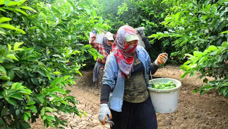 Fiyatların Yükselişi! Marketlerdeki Ürünlerin Kilosu 150 Lirayı Geçti