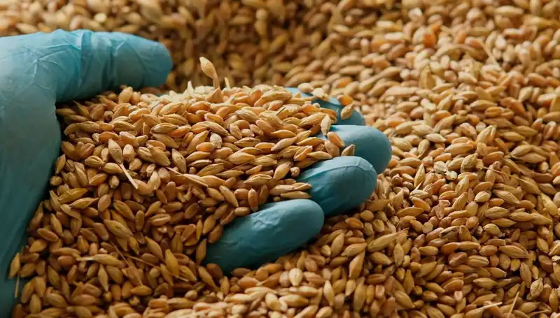 Kalp Hastalığı Riskini Azaltan Beslenme: Uzmanlardan Son Bilgiler