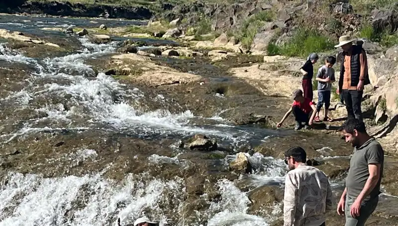 İnci Kefalinin Büyüleyici Göçü: Turistlerin Yeni Cenneti
