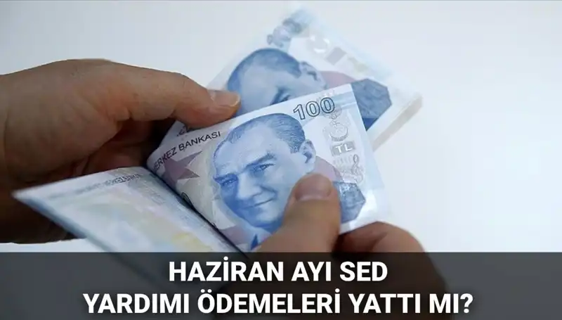 Haziran 2025 SED Ödemeleri: Yattı mı, Sorgulama Nasıl Yapılır?