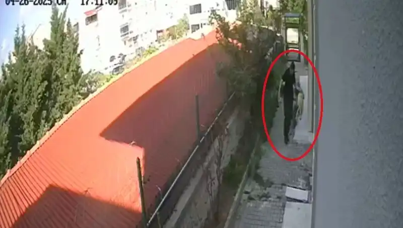 Veteriner Doktorun Dehşet Veren Hayvan İstismarı Olayı İfşa Oldu