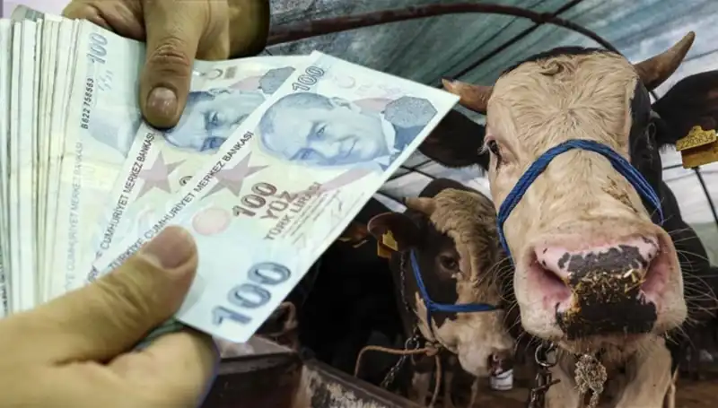 Kurban Bayramı Öncesi Maaşlar Ne Zaman Yatacak? Emeklilere Müjde Geldi!