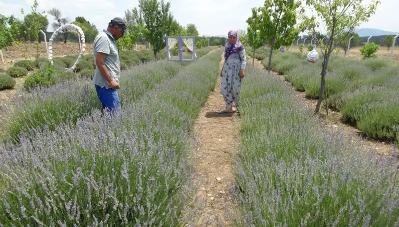 Hobi Olarak Başladı, Şimdi Ekonomik Başarıya Dönüştü: İlham Veren Hikaye