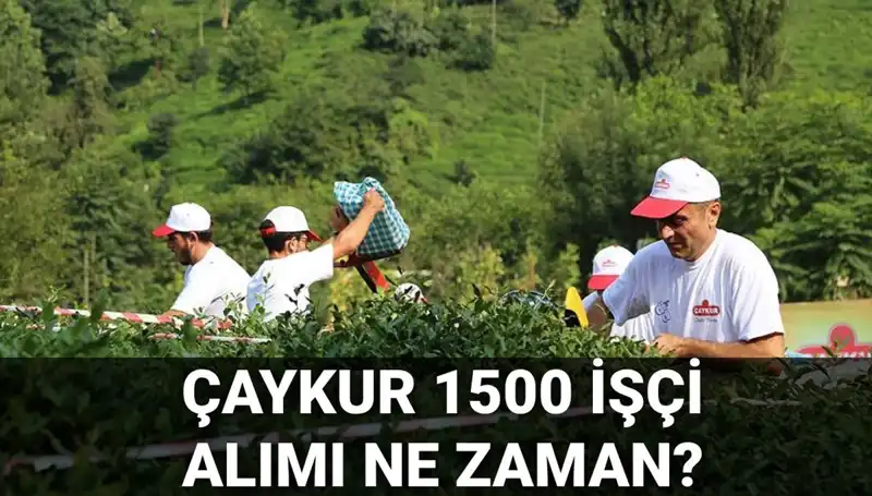 ÇAYKUR İşçi Alımı Kura Çekimi İçin Geri Sayım Başladı!