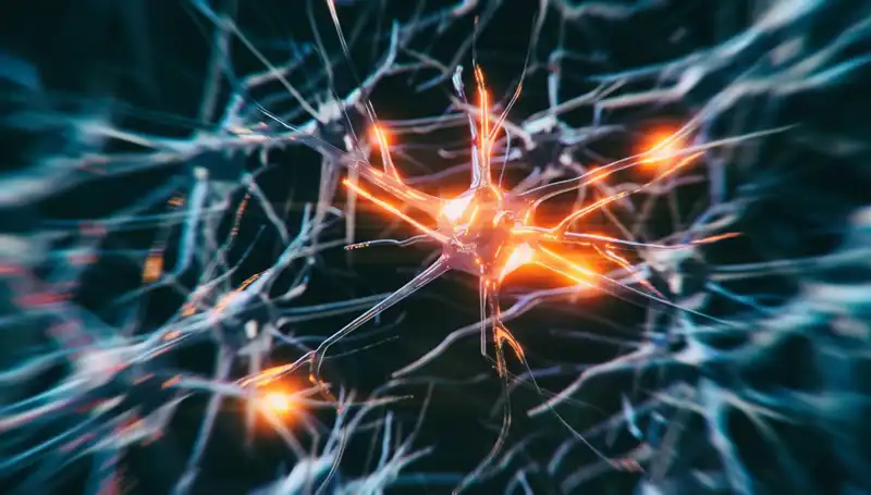 Alzheimer Vakalarının Artışı: Nedenleri ve Çözüm Yolları