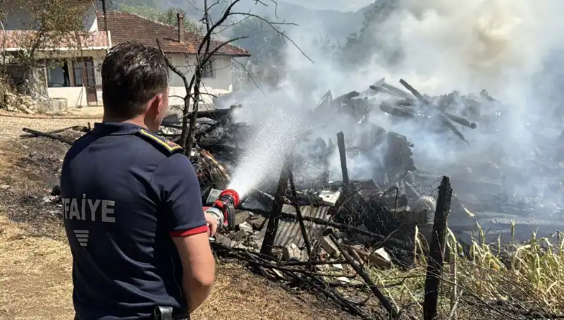 Evdeki Yangın Ormana Sıçradı: Can ve Mal Güvenliği Tehlikede!