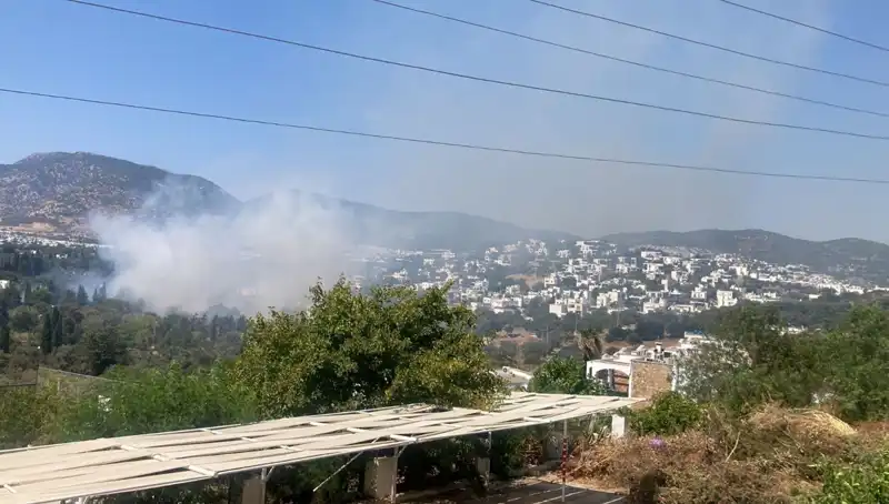 Muğla'da Orman Yangınları Kontrol Altında, Doğa Yeniden Canlanıyor
