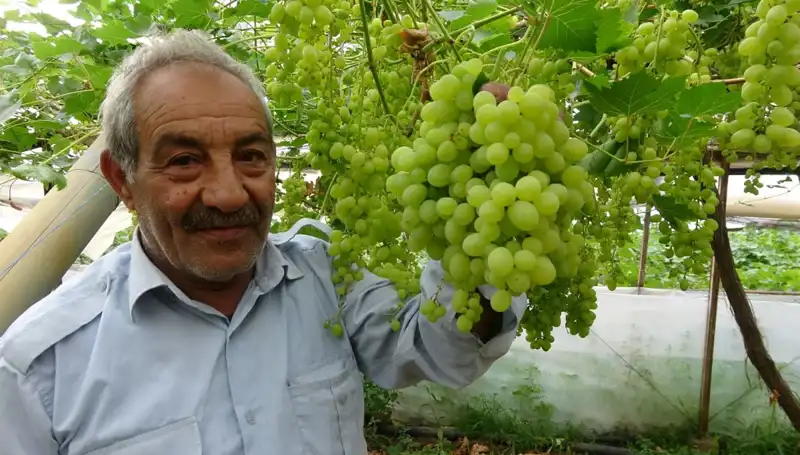 Zirai Don Sonrası Meyve Fiyatları Yükseliyor: İlk Ürünler 250 TL'den Satılıyor