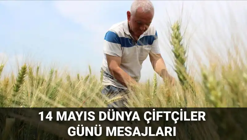 14 Mayıs Dünya Çiftçiler Günü: Çiftçilerin Emeklerine Saygı Duruşu