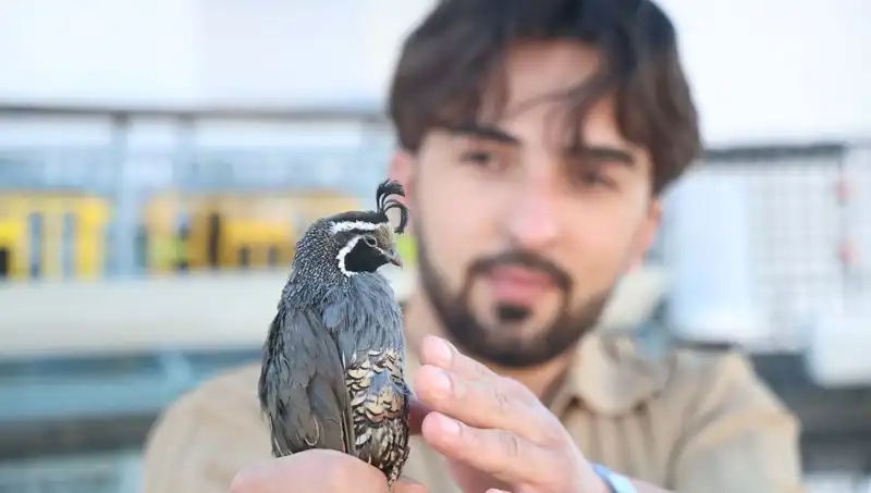 ABD’den 17 Tür Sipariş Eden Üniversiteli Genç, Dünyaya İhracat Yapmaya Başladı
