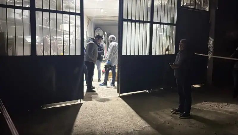 İş Yerinde Dehşet: Cinayet Sonrası Battaniye Sürprizi
