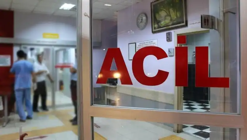 Rize'de Feci Kaza: Kestiği Ağacın Altında Can Veren Adam
