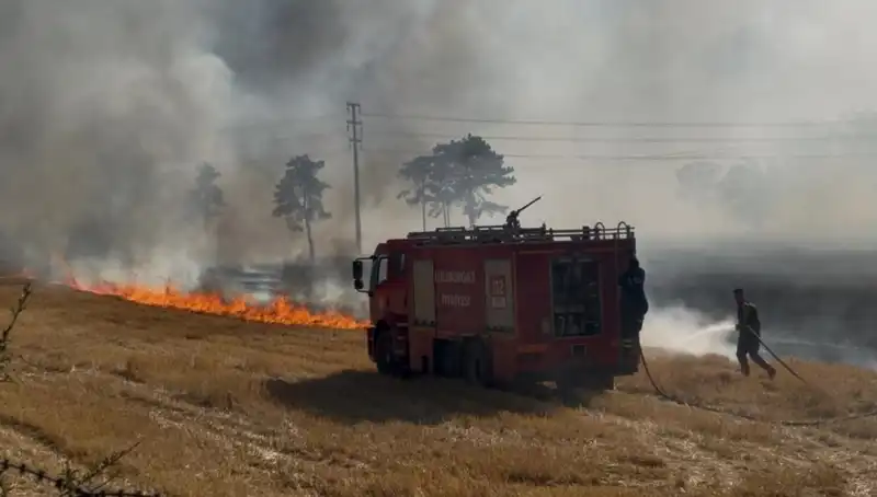 Kırklareli'nde Meydana Gelen Anız Yangını, Panik Yarattı: Olayın Detayları