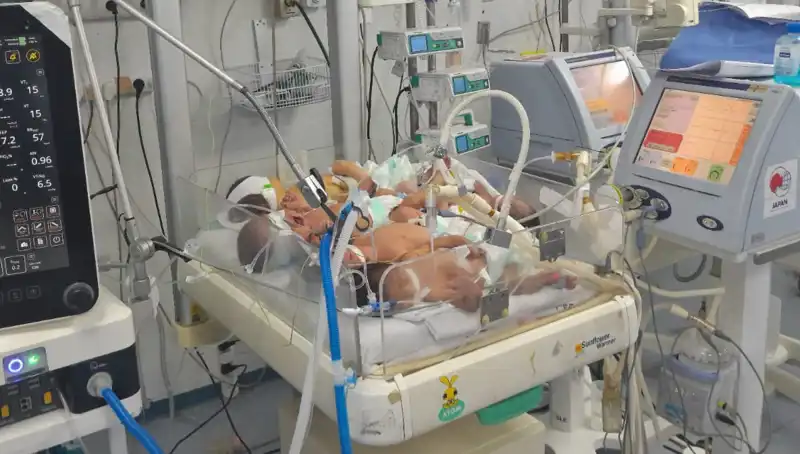 Gazzeli Doktorların Çaresizliği: Kuvözde Aynı Anda Birden Fazla Bebek