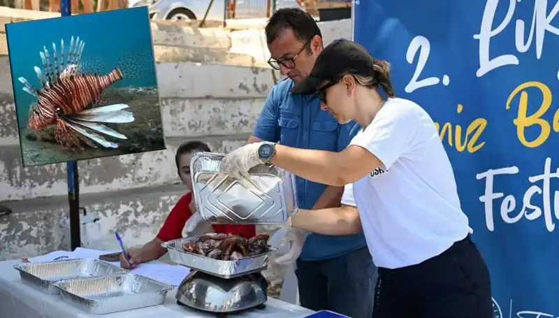 Antalya'da İstilacı Aslan Balığı Avlama Yarışması: Eğlenceli Rekabet Başlıyor