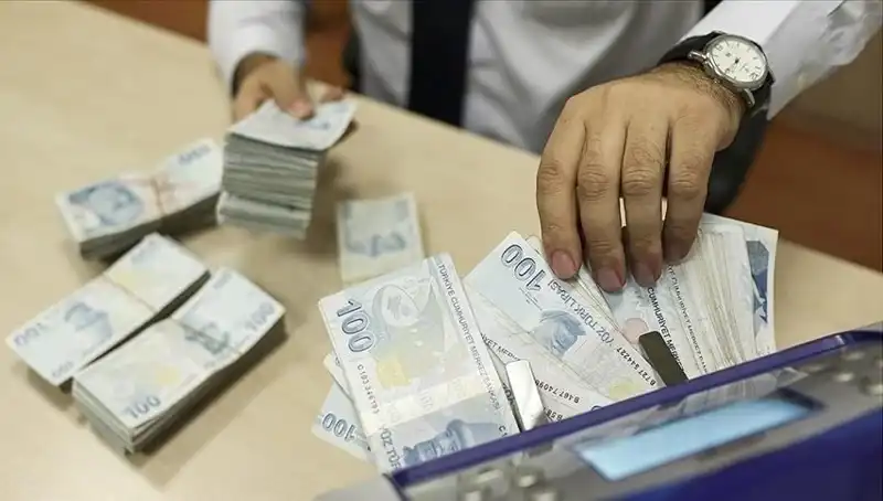 17,36 Milyon Kişi Bireysel Emeklilik Sistemi'nde Geldi, Gelecek Ne Olacak?