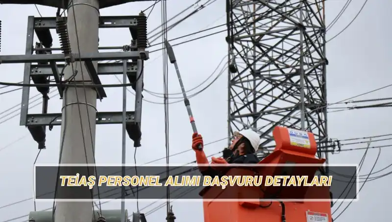 TEİAŞ Personel Alımında Fırsatlar: İşçi Alım Şartları ve Başvuru Süreci