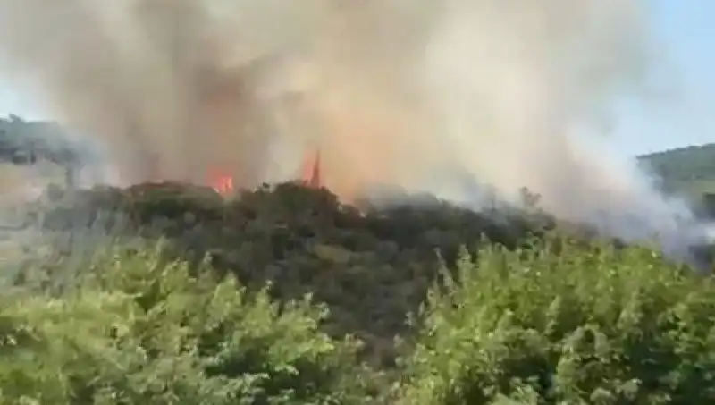 İstanbul'da Orman Yangını: Acil Tahliye ve Tehlikenin Boyutu
