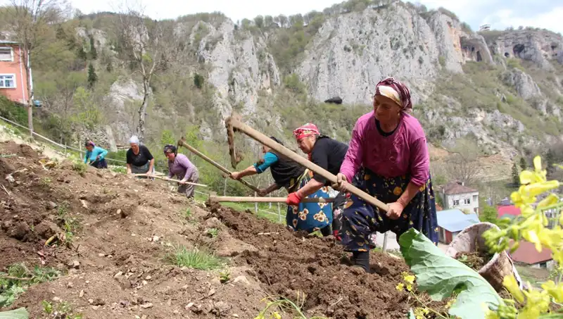 Zorlu Mesai: Sırtlarında Sepetler, Ellerinde Kazmalar İle Çalışıyorlar