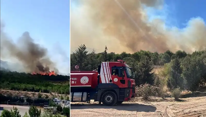 Gebze'de Orman Yangını: Alevler Kısa Sürede Büyüdü, Ekipler Seferber Oldu